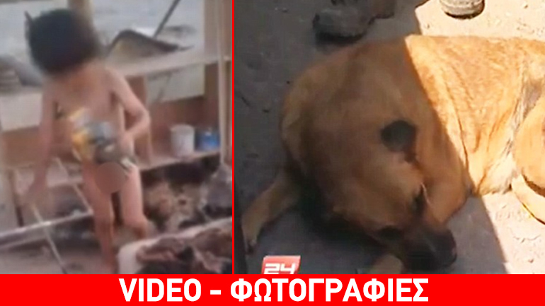 Σοκ στη Χιλή: Σκύλος θήλαζε 2χρονο υποσιτισμένο αγόρι